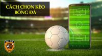 Tổng hợp cách chọn kèo cá độ bóng đá 6686 Vip bất bại cho Tân Thủ